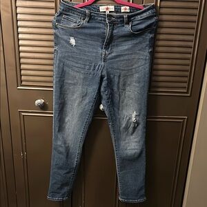 Stylish Distressed Blue Skinny Jeans